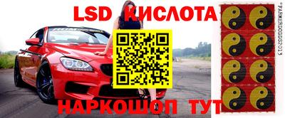 крисы Жуковский